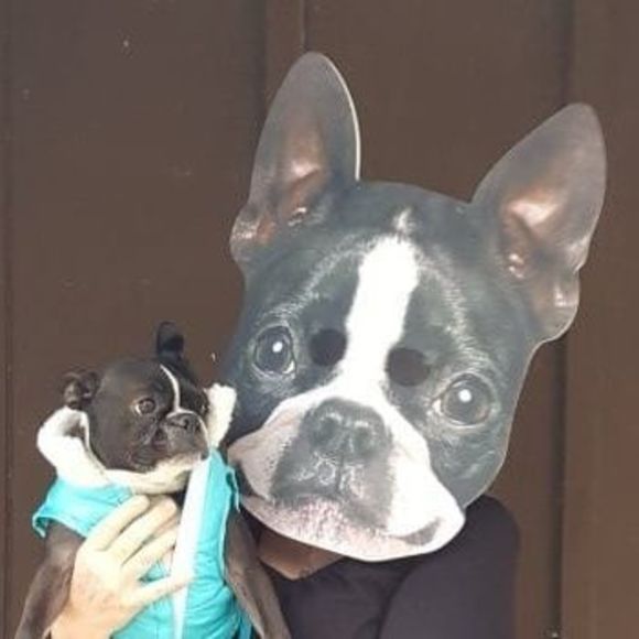 Meet your Posher, Mary jane - Picture 1 of 1